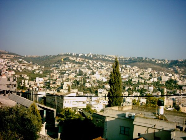 الرينة | موسوعة القرى الفلسطينية