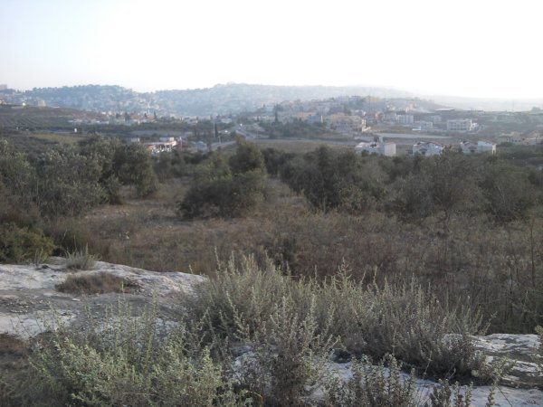 الرينة | موسوعة القرى الفلسطينية