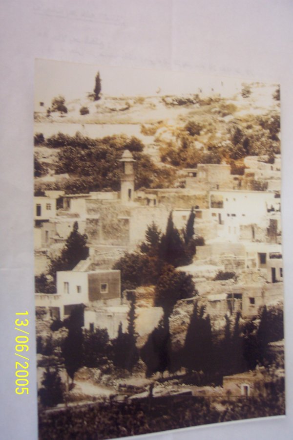 الرينة | موسوعة القرى الفلسطينية