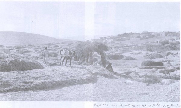 صَفُّورِيَّة | موسوعة القرى الفلسطينية