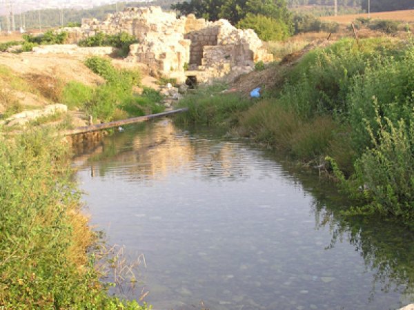 صَفُّورِيَّة | موسوعة القرى الفلسطينية