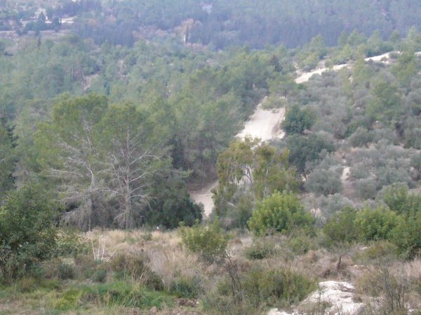 عسلين | موسوعة القرى الفلسطينية عسلين | موسوعة القرى الفلسطينية