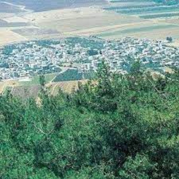 سولم / الزعبية | موسوعة القرى الفلسطينية