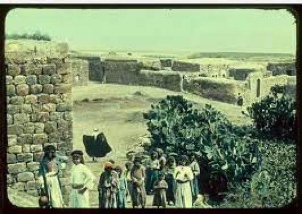 سولم / الزعبية | موسوعة القرى الفلسطينية