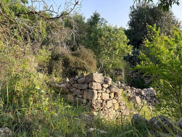 يَاسُوف | موسوعة القرى الفلسطينية يَاسُوف | موسوعة القرى الفلسطينية