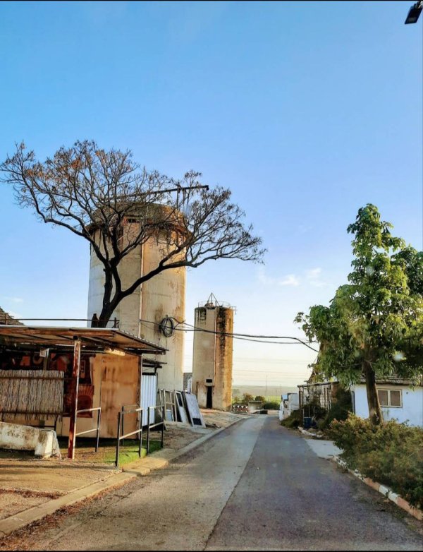 جِنْجَار | موسوعة القرى الفلسطينية