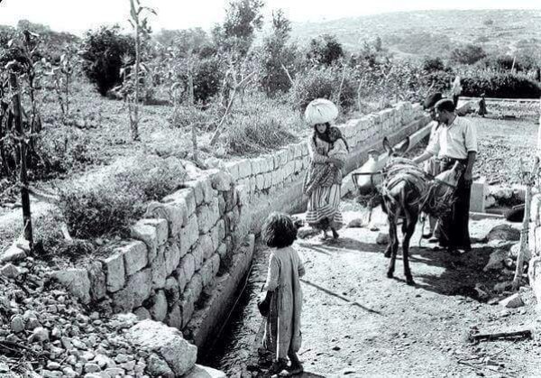 صَفُّورِيَّة | موسوعة القرى الفلسطينية