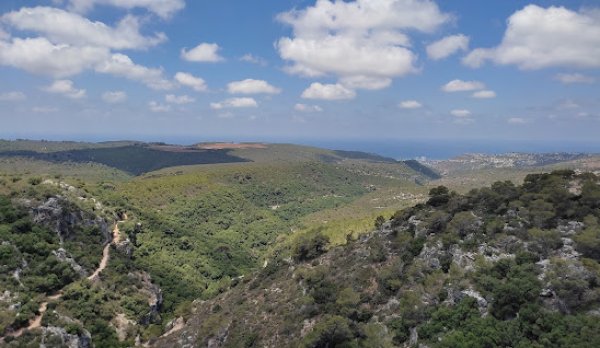 إبطن | موسوعة القرى الفلسطينية