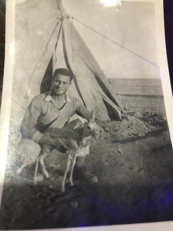 صَفُّورِيَّة | موسوعة القرى الفلسطينية