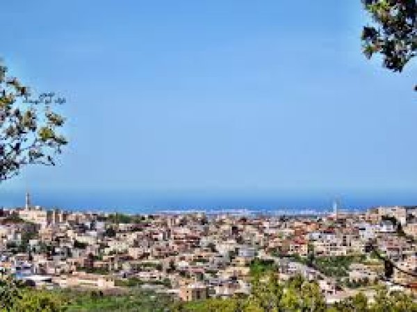 كوكب أبو الهيجاء / واحدة من قرى الهيجاء | موسوعة القرى الفلسطينية