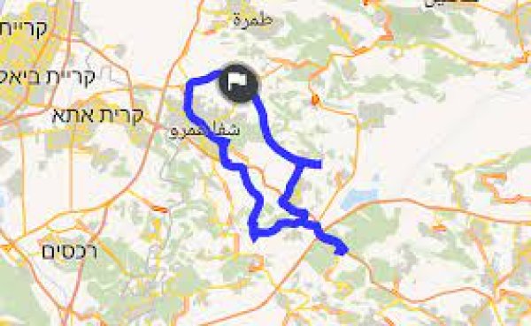 صَفُّورِيَّة | موسوعة القرى الفلسطينية