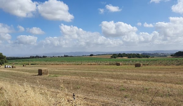 إبطن | موسوعة القرى الفلسطينية