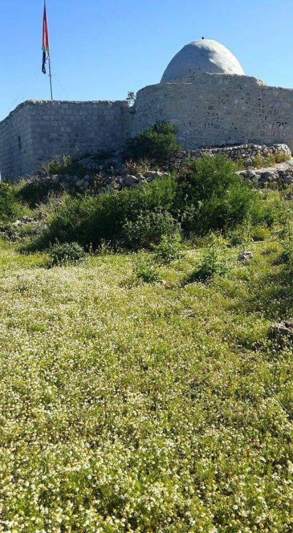 يَاسُوف | موسوعة القرى الفلسطينية يَاسُوف | موسوعة القرى الفلسطينية