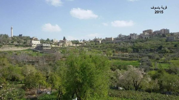 يَاسُوف | موسوعة القرى الفلسطينية يَاسُوف | موسوعة القرى الفلسطينية