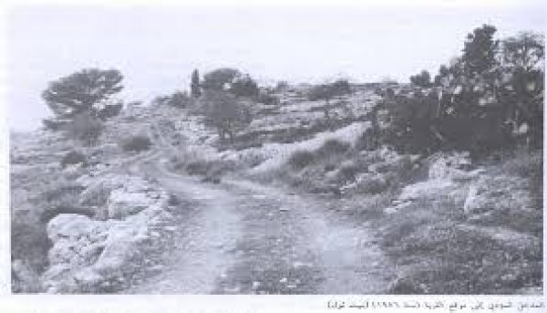 الجُورَة/ جُورَة عَسْقَلان | موسوعة القرى الفلسطينية الجُورَة/ جُورَة عَسْقَلان | موسوعة القرى الفلسطينية