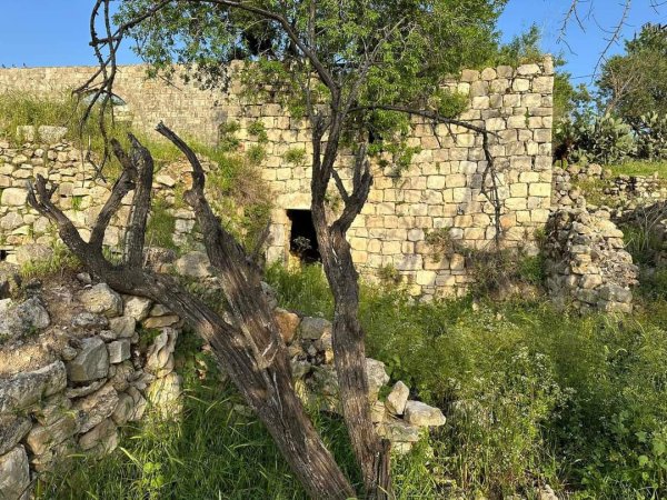 يَاسُوف | موسوعة القرى الفلسطينية يَاسُوف | موسوعة القرى الفلسطينية