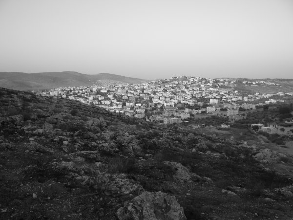 المشهد / مشهد يونس | موسوعة القرى الفلسطينية