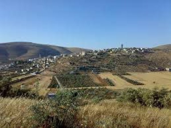 بَرْبَرَة | موسوعة القرى الفلسطينية بَرْبَرَة | موسوعة القرى الفلسطينية