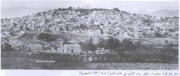 صَفُّورِيَّة | موسوعة القرى الفلسطينية