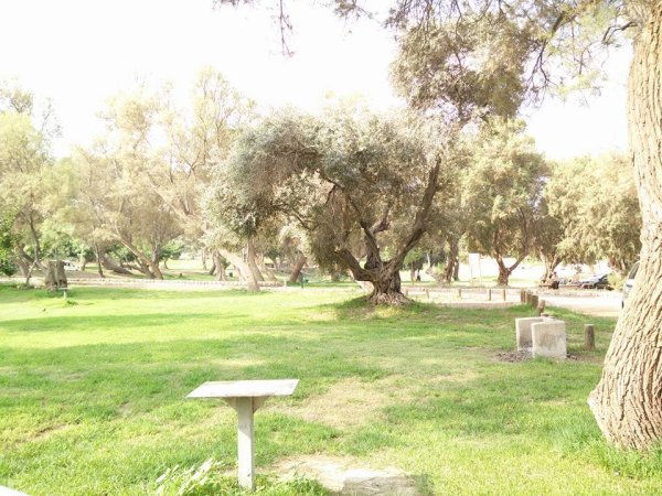 الجُورَة/ جُورَة عَسْقَلان | موسوعة القرى الفلسطينية الجُورَة/ جُورَة عَسْقَلان | موسوعة القرى الفلسطينية