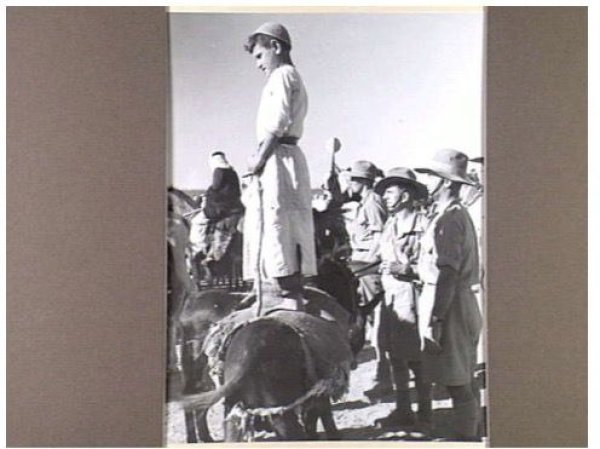 بَرْبَرَة | موسوعة القرى الفلسطينية بَرْبَرَة | موسوعة القرى الفلسطينية