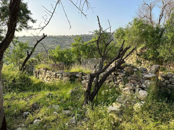 يَاسُوف | موسوعة القرى الفلسطينية يَاسُوف | موسوعة القرى الفلسطينية