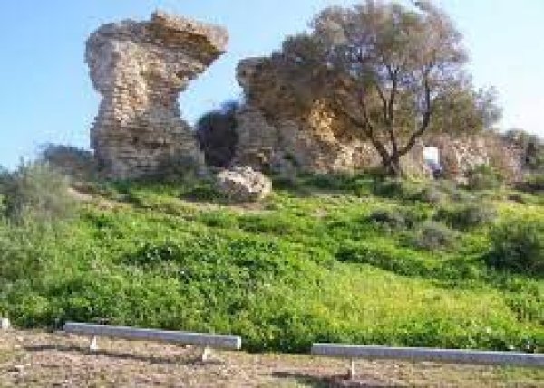 الجُورَة/ جُورَة عَسْقَلان | موسوعة القرى الفلسطينية الجُورَة/ جُورَة عَسْقَلان | موسوعة القرى الفلسطينية