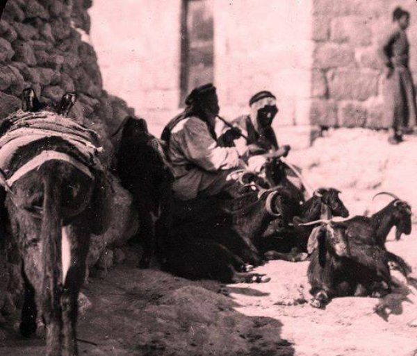 الدحي | موسوعة القرى الفلسطينية