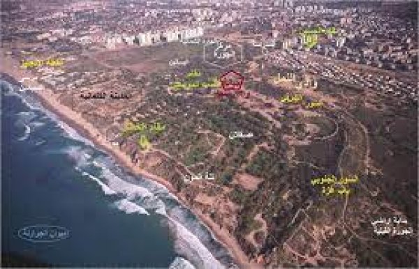 الجُورَة/ جُورَة عَسْقَلان | موسوعة القرى الفلسطينية الجُورَة/ جُورَة عَسْقَلان | موسوعة القرى الفلسطينية