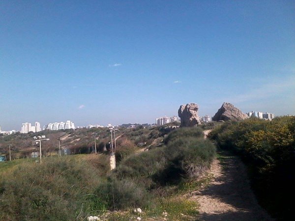 الجُورَة/ جُورَة عَسْقَلان | موسوعة القرى الفلسطينية الجُورَة/ جُورَة عَسْقَلان | موسوعة القرى الفلسطينية