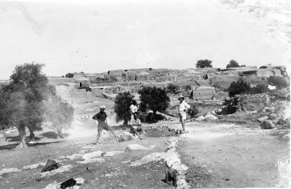 المشهد / مشهد يونس | موسوعة القرى الفلسطينية