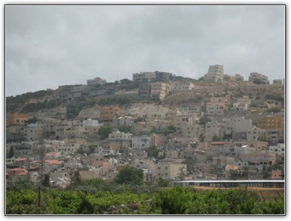 الفُرَيْدِيس/ قرى الروحة | موسوعة القرى الفلسطينية الفُرَيْدِيس/ قرى الروحة | موسوعة القرى الفلسطينية