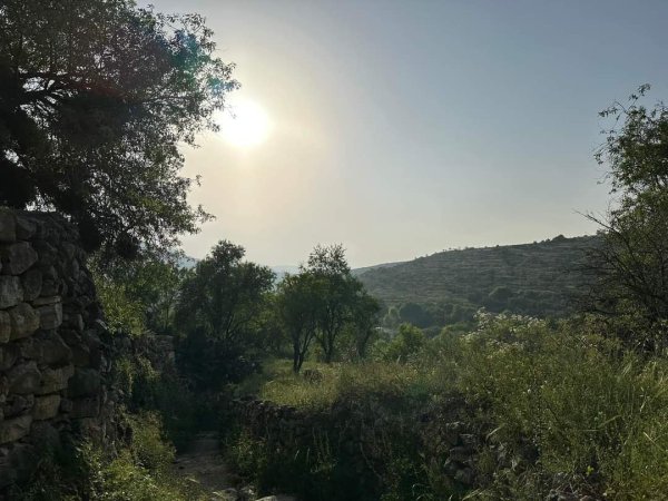 يَاسُوف | موسوعة القرى الفلسطينية يَاسُوف | موسوعة القرى الفلسطينية