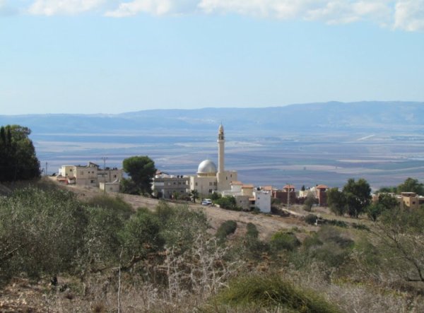 الدحي | موسوعة القرى الفلسطينية