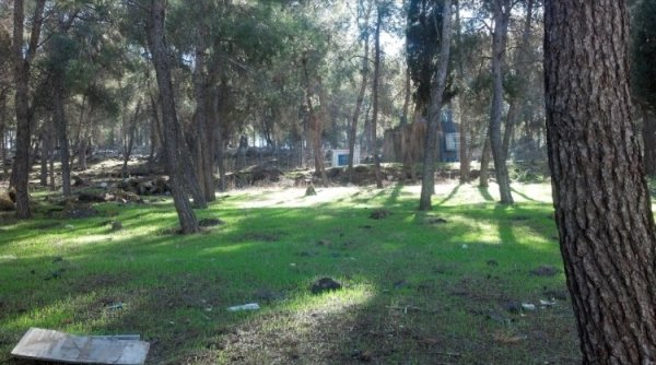 الدحي | موسوعة القرى الفلسطينية