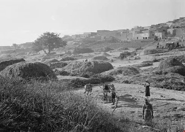 صَفُّورِيَّة | موسوعة القرى الفلسطينية