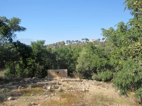 صَفُّورِيَّة | موسوعة القرى الفلسطينية