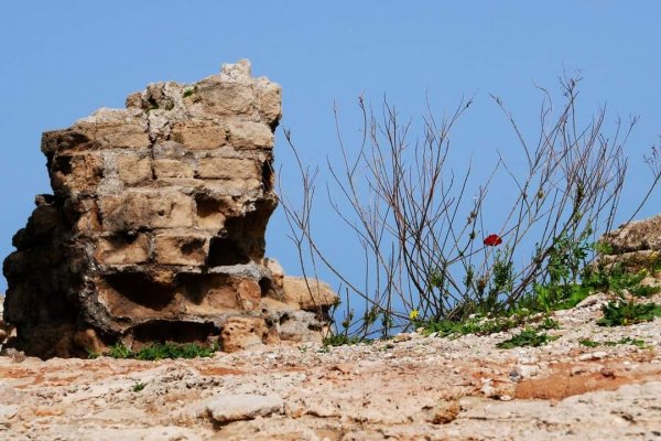 الجُورَة/ جُورَة عَسْقَلان | موسوعة القرى الفلسطينية الجُورَة/ جُورَة عَسْقَلان | موسوعة القرى الفلسطينية