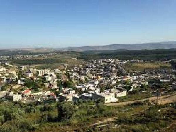 عيلوط | موسوعة القرى الفلسطينية