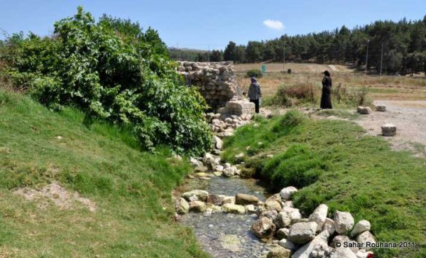 صَفُّورِيَّة | موسوعة القرى الفلسطينية