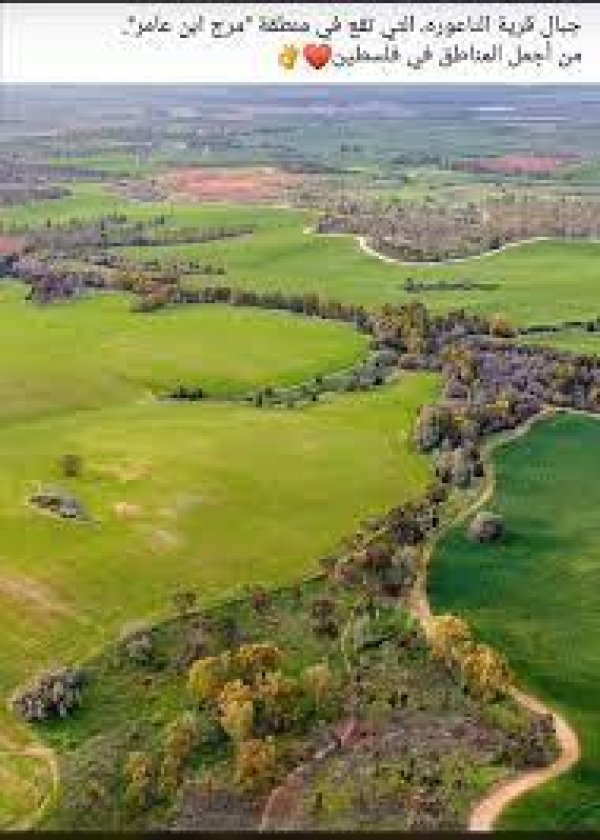 الناعورة | موسوعة القرى الفلسطينية