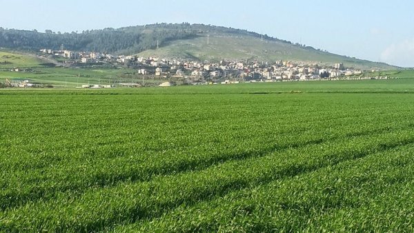 الناعورة | موسوعة القرى الفلسطينية