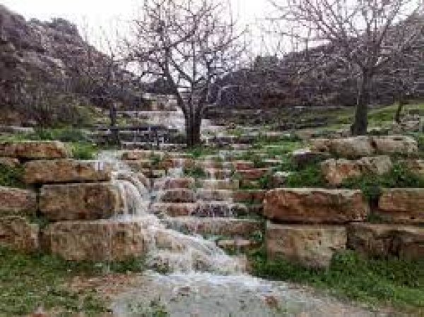 طرعان | موسوعة القرى الفلسطينية