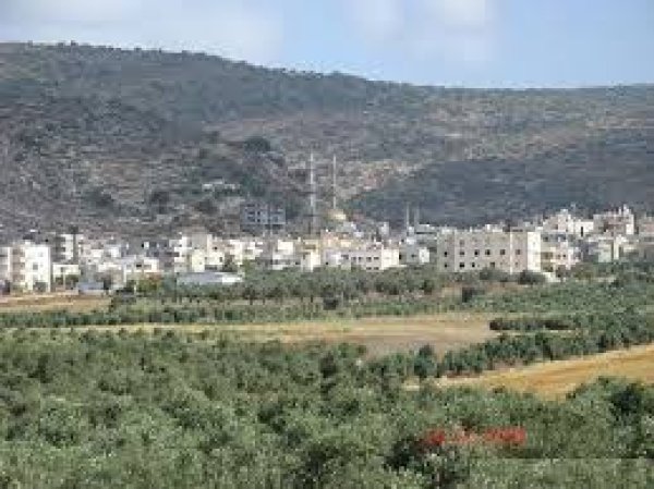 طرعان | موسوعة القرى الفلسطينية