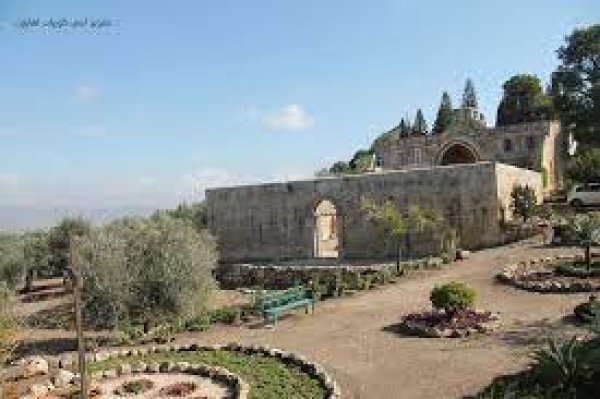 صَفُّورِيَّة | موسوعة القرى الفلسطينية