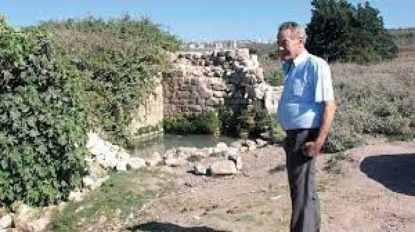 صَفُّورِيَّة | موسوعة القرى الفلسطينية