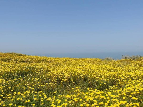 الجُورَة/ جُورَة عَسْقَلان | موسوعة القرى الفلسطينية الجُورَة/ جُورَة عَسْقَلان | موسوعة القرى الفلسطينية